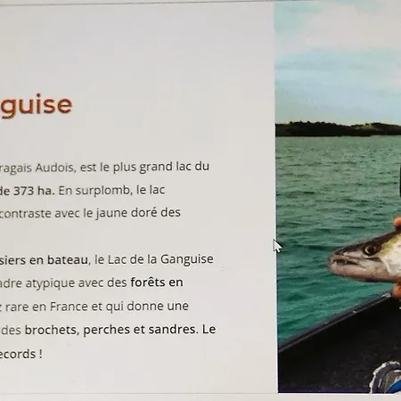 Independante Piscine, Parc, Cuisine... 4*