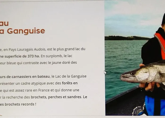 Independante Piscine, Parc, Cuisine... 4*